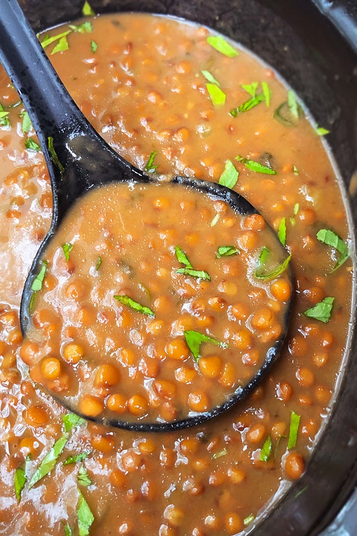 Closeup of Spoonful of Easy Homemade Curry Lentil Soup in Black Crockpot