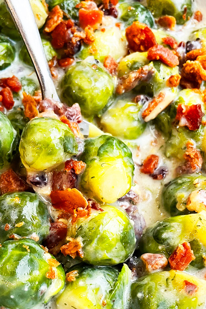Spoonful of Cheesy Brussels Sprouts in Cream Sauce- Closeup Shot
