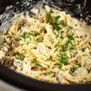 Best Easy Creamy Slow Cooker Chicken Bacon Ranch Pasta Spaghetti- Closeup Shot.