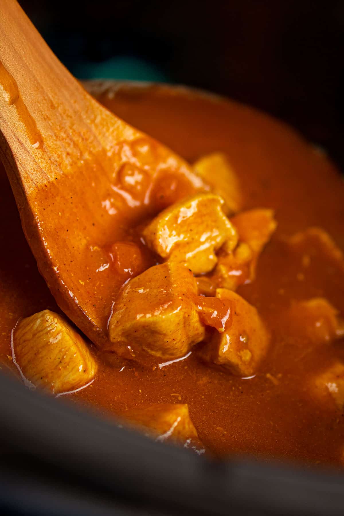 Spoonful of Paprikash in Black Crockpot.