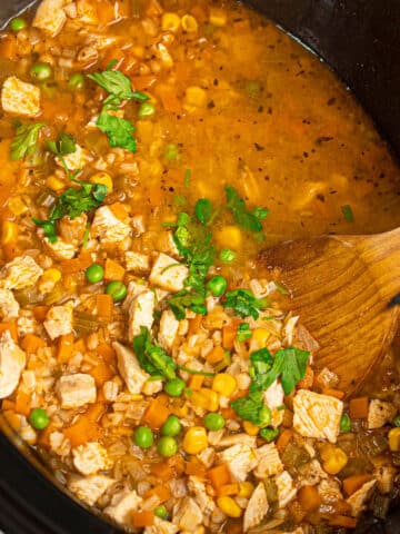 Easy Traditional Slow Cooker Chicken and Rice Soup With Woden Ladle.