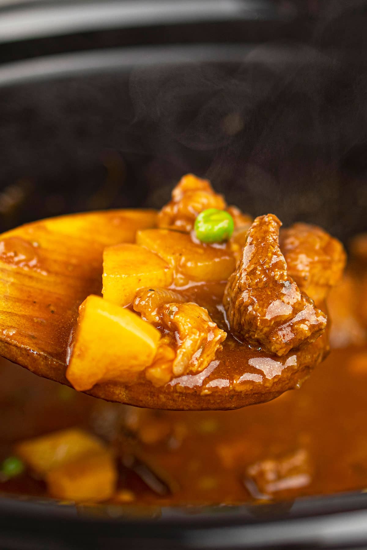 Spoonful of meat and veggies coated in rich sauce- Closeup shot.